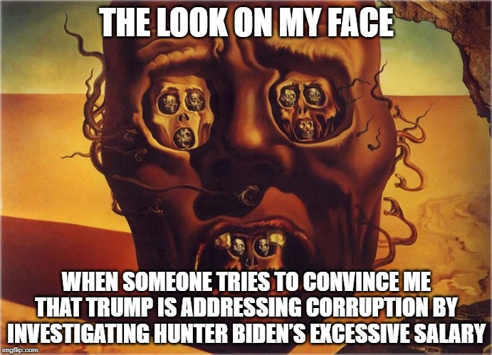 Hunter Biden's Corruption | THE LOOK ON MY FACE; WHEN SOMEONE TRIES TO CONVINCE ME THAT TRUMP IS ADDRESSING CORRUPTION BY INVESTIGATING HUNTER BIDEN’S EXCESSIVE SALARY | image tagged in joe biden,hunter,donald trump approves,donald trump,neo-nazis | made w/ Imgflip meme maker