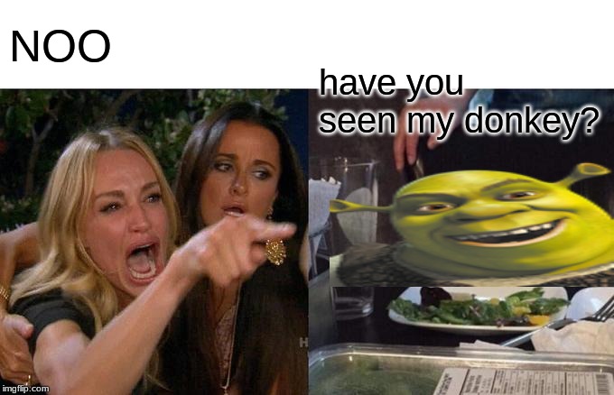 Woman Yelling At Cat Meme | NOO; have you seen my donkey? | image tagged in memes,woman yelling at cat | made w/ Imgflip meme maker