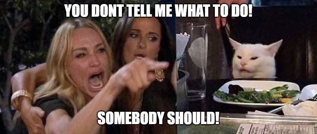 woman yelling at cat | YOU DONT TELL ME WHAT TO DO! SOMEBODY SHOULD! | image tagged in woman yelling at cat | made w/ Imgflip meme maker