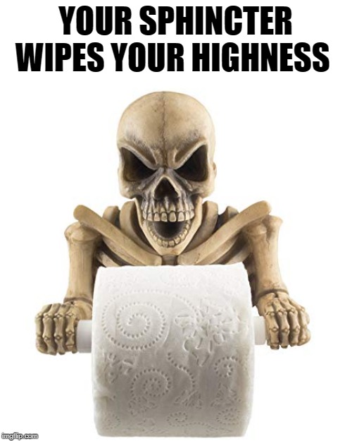 YOUR SPHINCTER WIPES YOUR HIGHNESS | image tagged in wipes,toilet paper | made w/ Imgflip meme maker