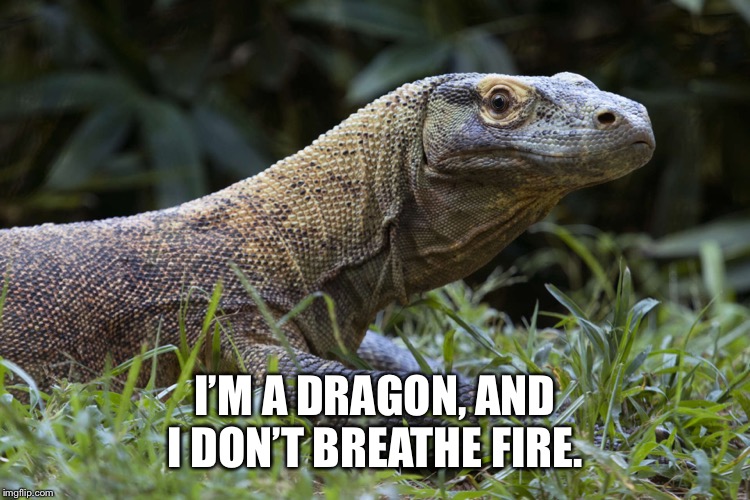 I’M A DRAGON, AND I DON’T BREATHE FIRE. | made w/ Imgflip meme maker