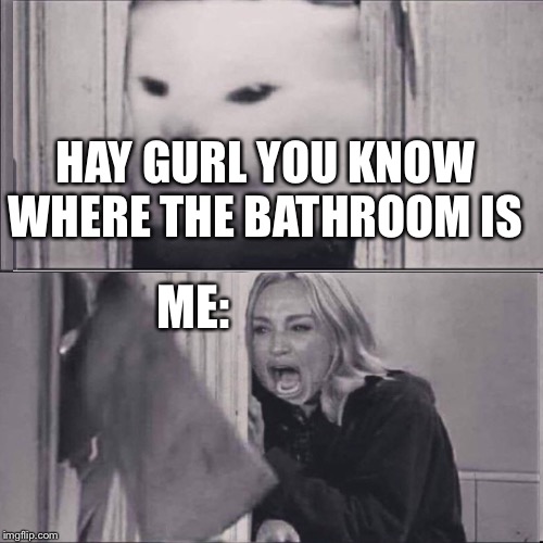 woman yells are shining | HAY GURL YOU KNOW WHERE THE BATHROOM IS; ME: | image tagged in woman yells are shining | made w/ Imgflip meme maker