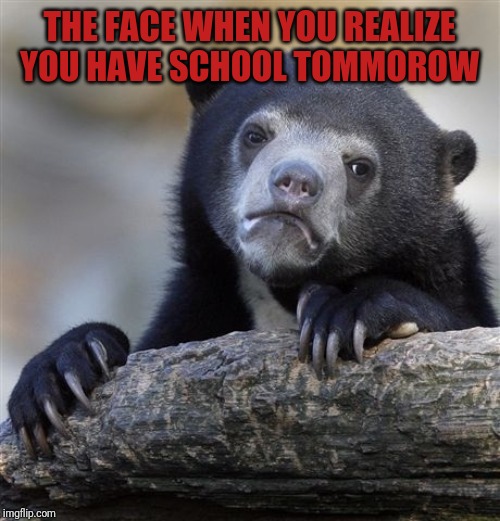 Confession Bear | THE FACE WHEN YOU REALIZE YOU HAVE SCHOOL TOMMOROW | image tagged in memes,confession bear | made w/ Imgflip meme maker