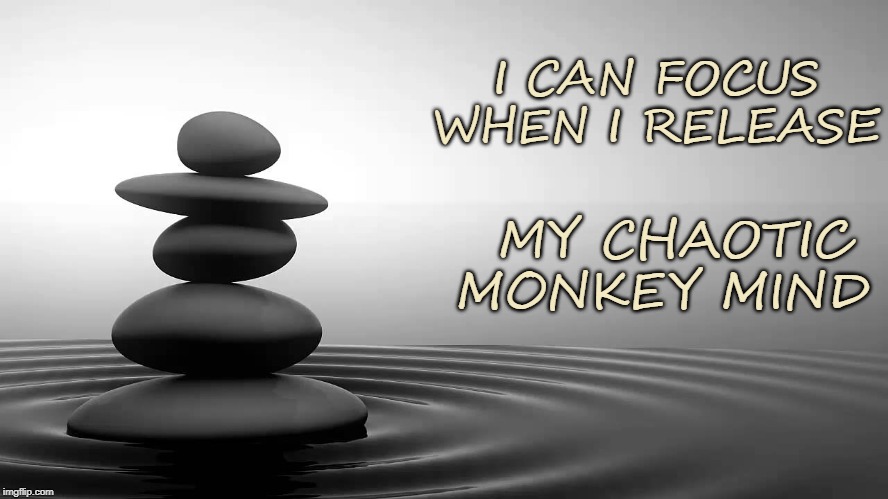 I CAN FOCUS WHEN I RELEASE; MY CHAOTIC MONKEY MIND | image tagged in focus | made w/ Imgflip meme maker