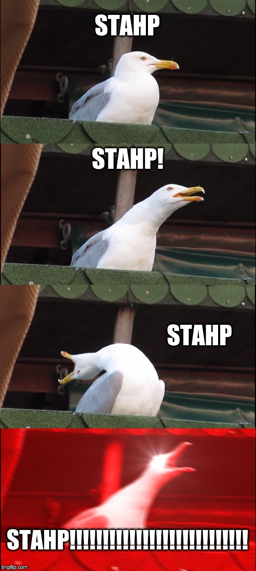 Inhaling Seagull | STAHP; STAHP! STAHP; STAHP!!!!!!!!!!!!!!!!!!!!!!!!!!! | image tagged in memes,inhaling seagull | made w/ Imgflip meme maker