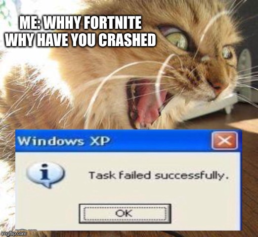 angry cat | ME: WHHY FORTNITE WHY HAVE YOU CRASHED | image tagged in angry cat | made w/ Imgflip meme maker