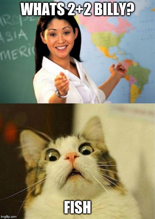 WHATS 2+2 BILLY? FISH | image tagged in memes,unhelpful high school teacher,scared cat | made w/ Imgflip meme maker