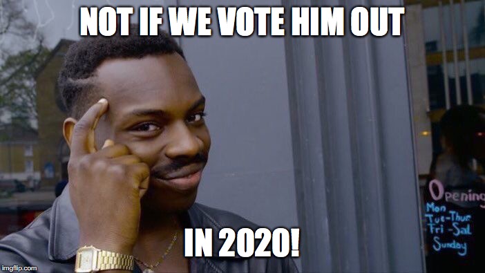 Roll Safe Think About It Meme | NOT IF WE VOTE HIM OUT IN 2020! | image tagged in memes,roll safe think about it | made w/ Imgflip meme maker
