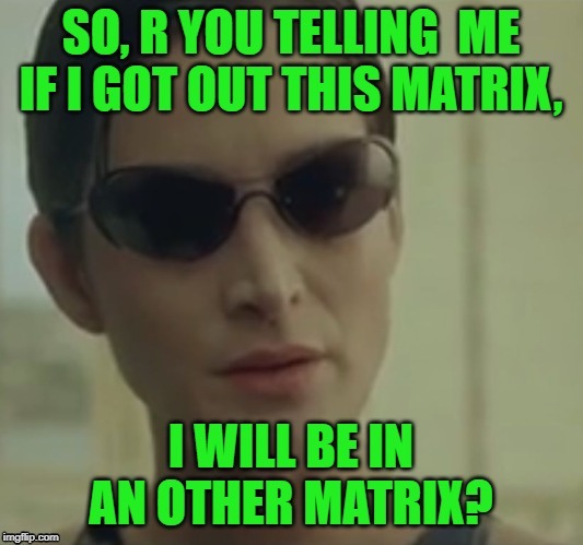 Matrix: | image tagged in the matrix | made w/ Imgflip meme maker