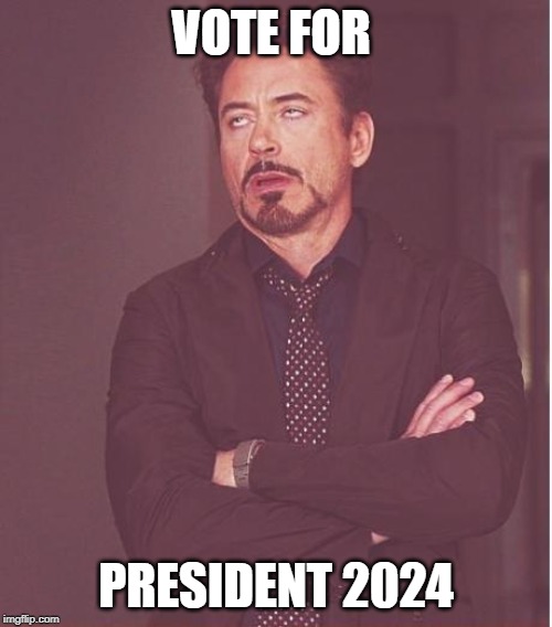Face You Make Robert Downey Jr Meme | VOTE FOR; PRESIDENT 2024 | image tagged in memes,face you make robert downey jr | made w/ Imgflip meme maker