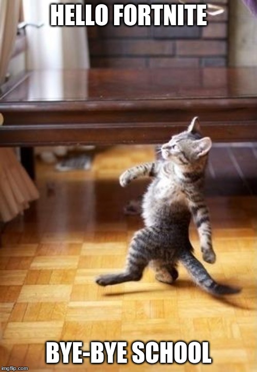 Cool Cat Stroll | HELLO FORTNITE; BYE-BYE SCHOOL | image tagged in memes,cool cat stroll | made w/ Imgflip meme maker
