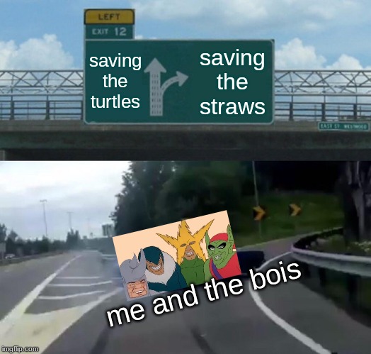 Left Exit 12 Off Ramp | saving the turtles; saving the straws; me and the bois | image tagged in memes,left exit 12 off ramp | made w/ Imgflip meme maker