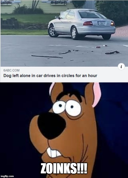 Good Job Fido | ZOINKS!!! | image tagged in scooby doo surprised | made w/ Imgflip meme maker