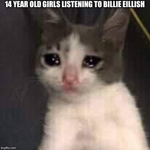 Crying cat | 14 YEAR OLD GIRLS LISTENING TO BILLIE EILLISH | image tagged in crying cat | made w/ Imgflip meme maker