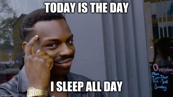 Roll Safe Think About It Meme | TODAY IS THE DAY; I SLEEP ALL DAY | image tagged in memes,roll safe think about it | made w/ Imgflip meme maker