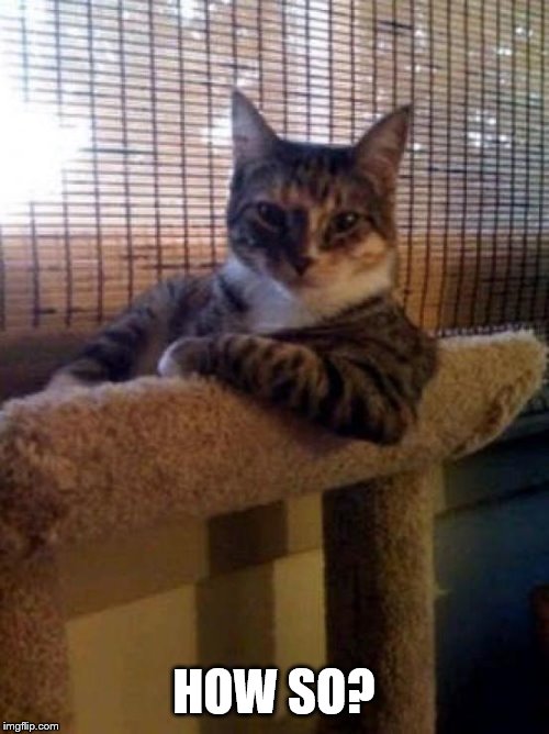 The Most Interesting Cat In The World Meme | HOW SO? | image tagged in memes,the most interesting cat in the world | made w/ Imgflip meme maker
