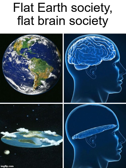 flat brain | Flat Earth society, flat brain society | image tagged in flat earth,funny,memes,flat earthers,brain | made w/ Imgflip meme maker