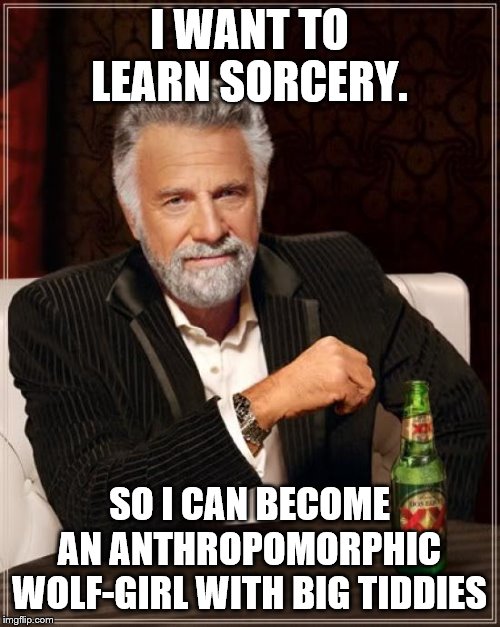 The Most Interesting Man In The World Meme | I WANT TO LEARN SORCERY. SO I CAN BECOME AN ANTHROPOMORPHIC WOLF-GIRL WITH BIG TIDDIES | image tagged in memes,the most interesting man in the world | made w/ Imgflip meme maker