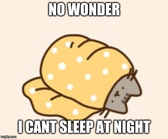 Pusheen can't slepp | NO WONDER I CANT SLEEP AT NIGHT | image tagged in pusheen can't slepp | made w/ Imgflip meme maker