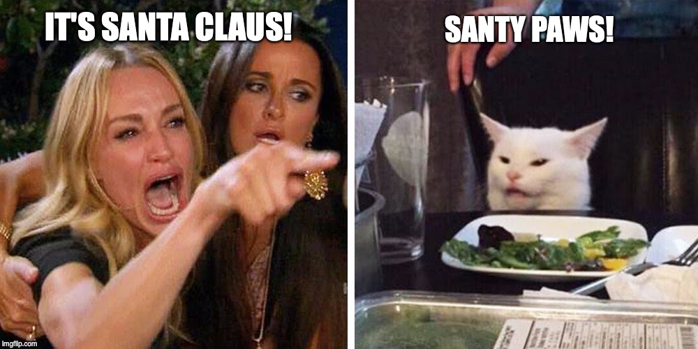 Smudge the cat | IT'S SANTA CLAUS! SANTY PAWS! | image tagged in smudge the cat | made w/ Imgflip meme maker