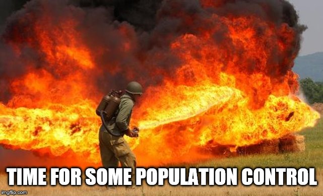 Nope flamethrower | TIME FOR SOME POPULATION CONTROL | image tagged in nope flamethrower | made w/ Imgflip meme maker
