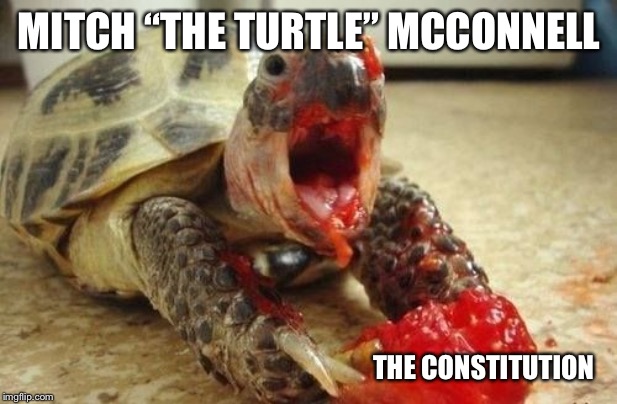 MITCH “THE TURTLE” MCCONNELL; THE CONSTITUTION | made w/ Imgflip meme maker