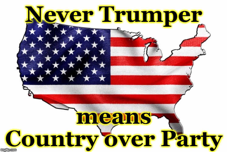 Even though Trump doesn't understand this, you should be able to figure it out. | Never Trumper; means
Country over Party | image tagged in united states of america,trump,never trump,patriot | made w/ Imgflip meme maker