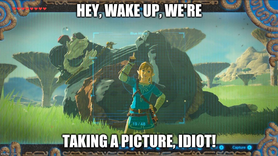 What a doofus. | HEY, WAKE UP, WE'RE; TAKING A PICTURE, IDIOT! | image tagged in link botw | made w/ Imgflip meme maker