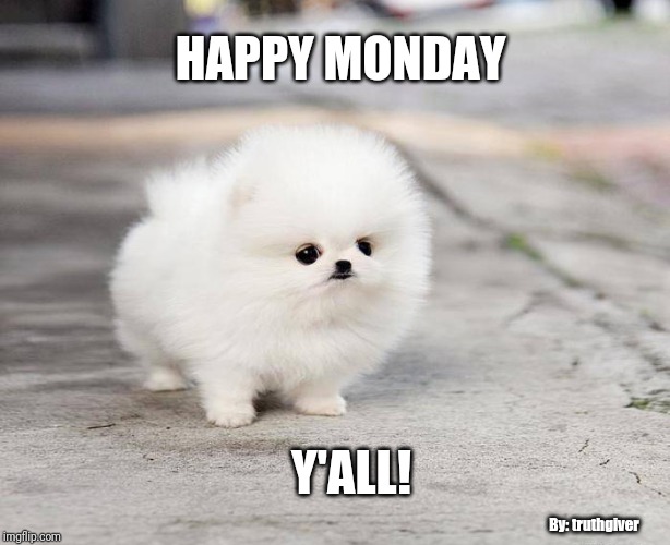 HAPPY MONDAY; Y'ALL! By: truthgiver | image tagged in cute puppies | made w/ Imgflip meme maker