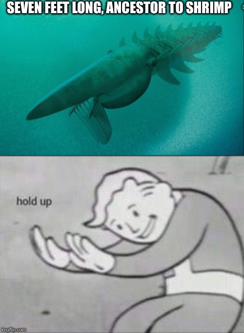 SEVEN FEET LONG, ANCESTOR TO SHRIMP | image tagged in fallout hold up | made w/ Imgflip meme maker