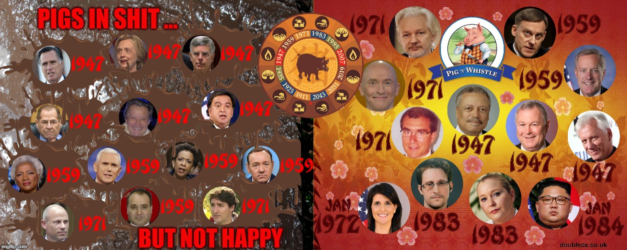 Year of the Pig |  PIGS IN SHIT ... BUT NOT HAPPY | image tagged in julian assange,hrc,hilary clinton,shit,pig,trump impeachment | made w/ Imgflip meme maker