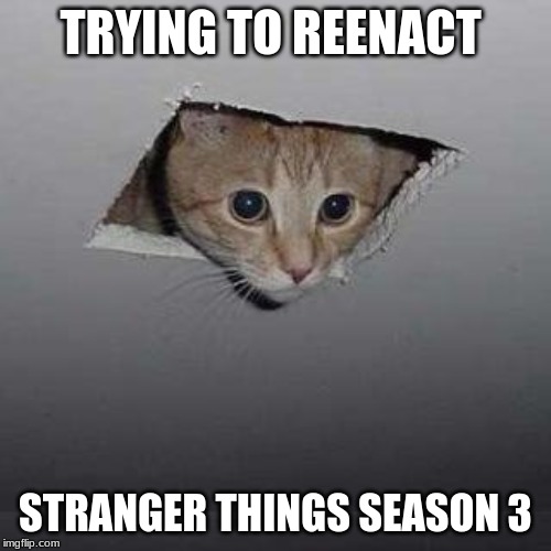 Ceiling Cat | TRYING TO REENACT; STRANGER THINGS SEASON 3 | image tagged in memes,ceiling cat | made w/ Imgflip meme maker