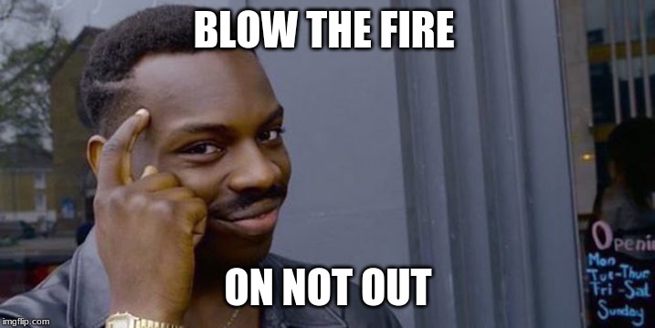 BLOW THE FIRE ON NOT OUT | image tagged in point to head | made w/ Imgflip meme maker