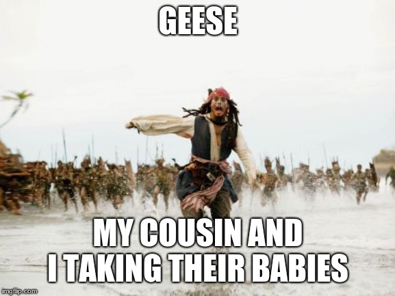 Jack Sparrow Being Chased | GEESE; MY COUSIN AND I TAKING THEIR BABIES | image tagged in memes,jack sparrow being chased | made w/ Imgflip meme maker