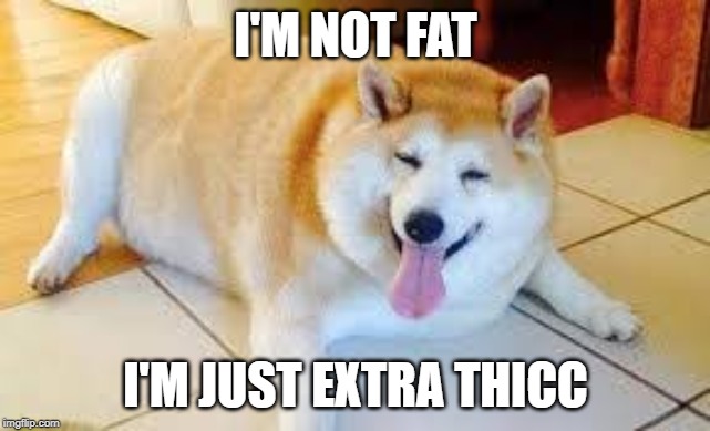 Thicc Doggo | I'M NOT FAT; I'M JUST EXTRA THICC | image tagged in thicc doggo | made w/ Imgflip meme maker