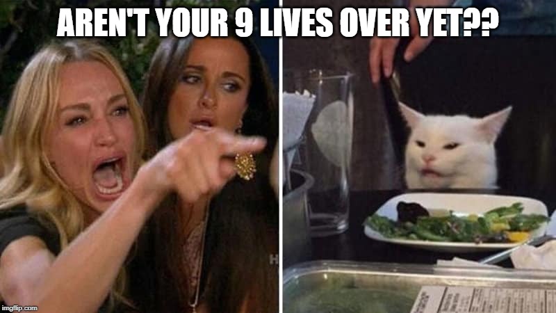 Girls vs Cat | AREN'T YOUR 9 LIVES OVER YET?? | image tagged in girls vs cat | made w/ Imgflip meme maker
