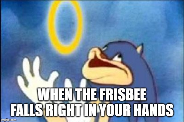 Sonic derp | WHEN THE FRISBEE FALLS RIGHT IN YOUR HANDS | image tagged in sonic derp | made w/ Imgflip meme maker