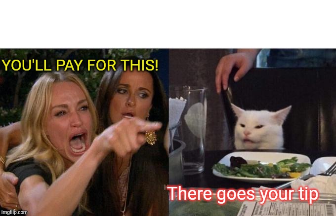 Woman Yelling At Cat | YOU'LL PAY FOR THIS! There goes your tip | image tagged in memes,woman yelling at cat | made w/ Imgflip meme maker