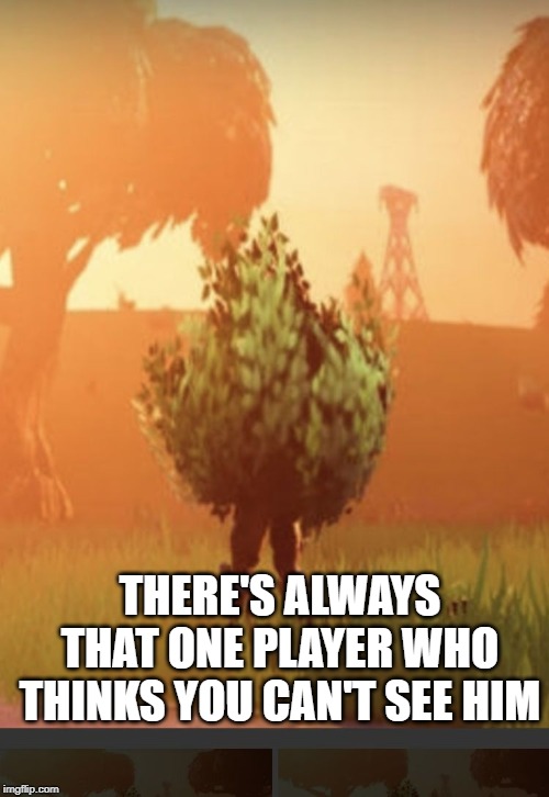 Fortnite bush | THERE'S ALWAYS THAT ONE PLAYER WHO THINKS YOU CAN'T SEE HIM | image tagged in fortnite bush | made w/ Imgflip meme maker