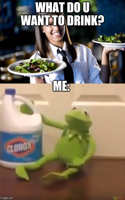 WHAT DO U WANT TO DRINK? ME: | image tagged in waitress,kermit suicide | made w/ Imgflip meme maker