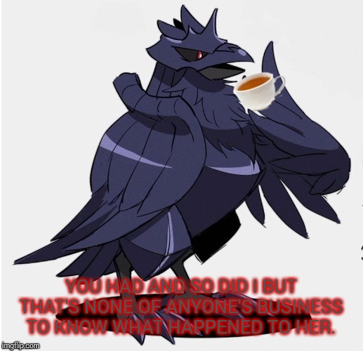 The_Tea_Drinking_Corviknight | YOU HAD AND SO DID I BUT THAT'S NONE OF ANYONE'S BUSINESS TO KNOW WHAT HAPPENED TO HER. | image tagged in the_tea_drinking_corviknight | made w/ Imgflip meme maker