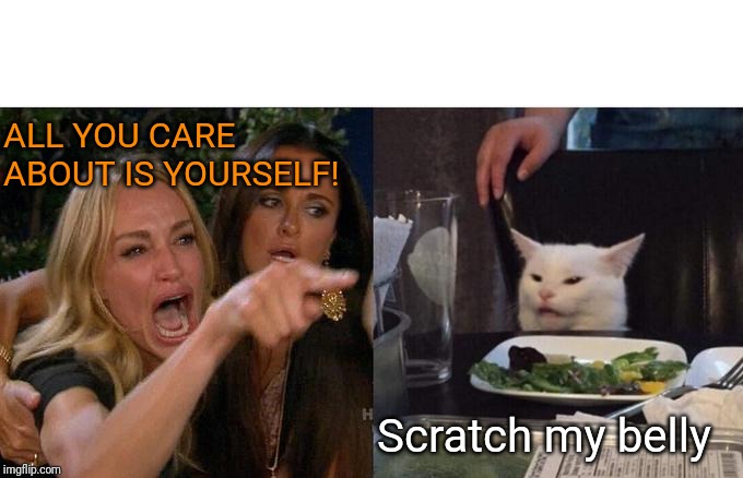 Woman Yelling At Cat | ALL YOU CARE ABOUT IS YOURSELF! Scratch my belly | image tagged in memes,woman yelling at cat | made w/ Imgflip meme maker
