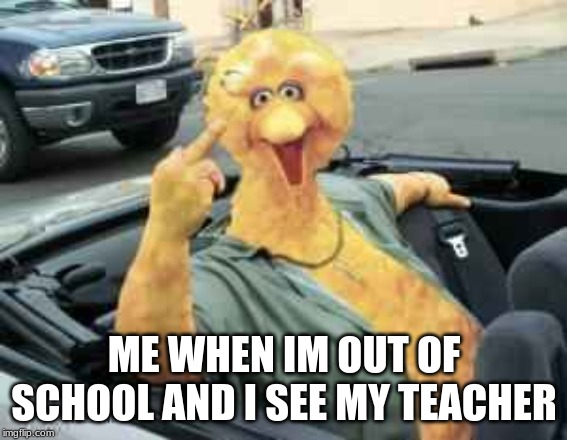 Big Bird Bird | ME WHEN IM OUT OF SCHOOL AND I SEE MY TEACHER | image tagged in big bird bird | made w/ Imgflip meme maker
