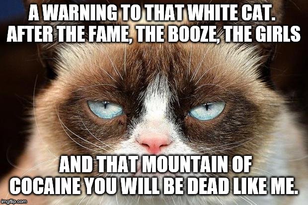 Grumpy Cat Not Amused Meme | A WARNING TO THAT WHITE CAT.  AFTER THE FAME, THE BOOZE, THE GIRLS; AND THAT MOUNTAIN OF COCAINE YOU WILL BE DEAD LIKE ME. | image tagged in memes,grumpy cat not amused,grumpy cat | made w/ Imgflip meme maker