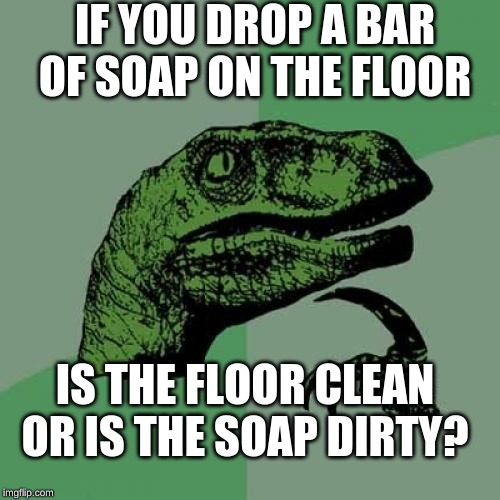 Philosoraptor Meme | IF YOU DROP A BAR OF SOAP ON THE FLOOR; IS THE FLOOR CLEAN OR IS THE SOAP DIRTY? | image tagged in memes,philosoraptor | made w/ Imgflip meme maker