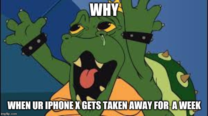 Koopa Sad Face | WHY; WHEN UR IPHONE X GETS TAKEN AWAY FOR  A WEEK | image tagged in funny | made w/ Imgflip meme maker