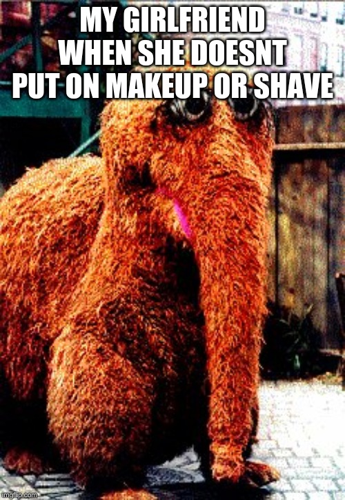 Sesame Street | MY GIRLFRIEND WHEN SHE DOESNT PUT ON MAKEUP OR SHAVE | image tagged in sesame street | made w/ Imgflip meme maker