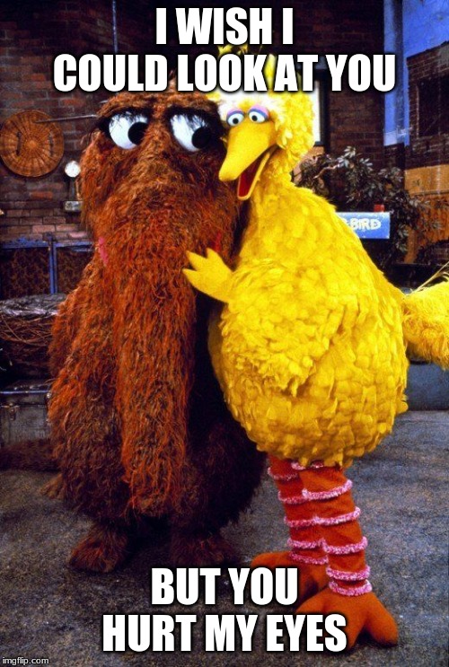 Sesame Street | I WISH I COULD LOOK AT YOU; BUT YOU HURT MY EYES | image tagged in sesame street | made w/ Imgflip meme maker