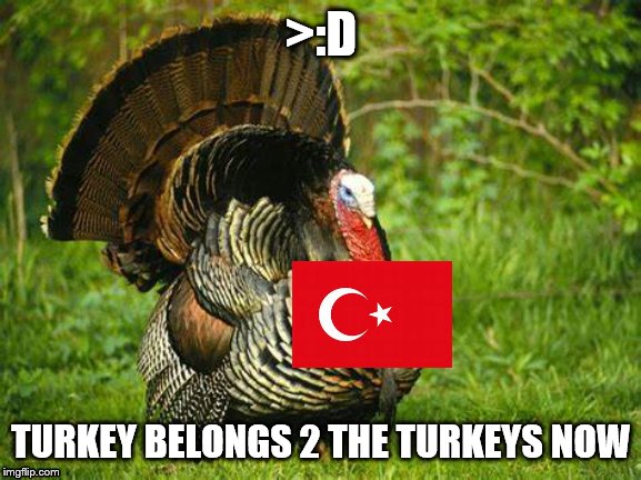 Turkeys well take over turkey!>:D | >:D; TURKEY BELONGS 2 THE TURKEYS NOW | image tagged in turkeys | made w/ Imgflip meme maker