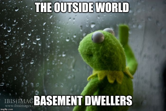 kermit window | THE OUTSIDE WORLD; BASEMENT DWELLERS | image tagged in kermit window | made w/ Imgflip meme maker